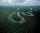 Rio Amazonas, στο συγκρότημα διατήρηση της Κεντρικής Amazon, Βραζιλία